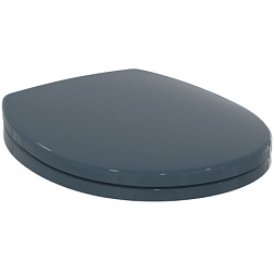 Contour 21 детское сиденье для унитаза цвет уголь, верхний монтаж S4065RN Ideal Standard 